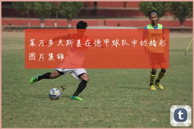 莱万多夫斯基在德甲球队中的精彩图片集锦